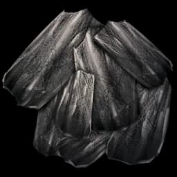 Charcoal ×100