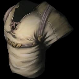 Cloth Armor Set