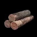 Hardwood ×100