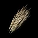 Thatch ×200