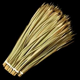 Thatch ×100