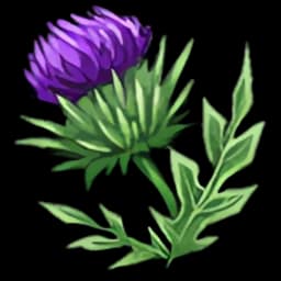 Thistle ×100